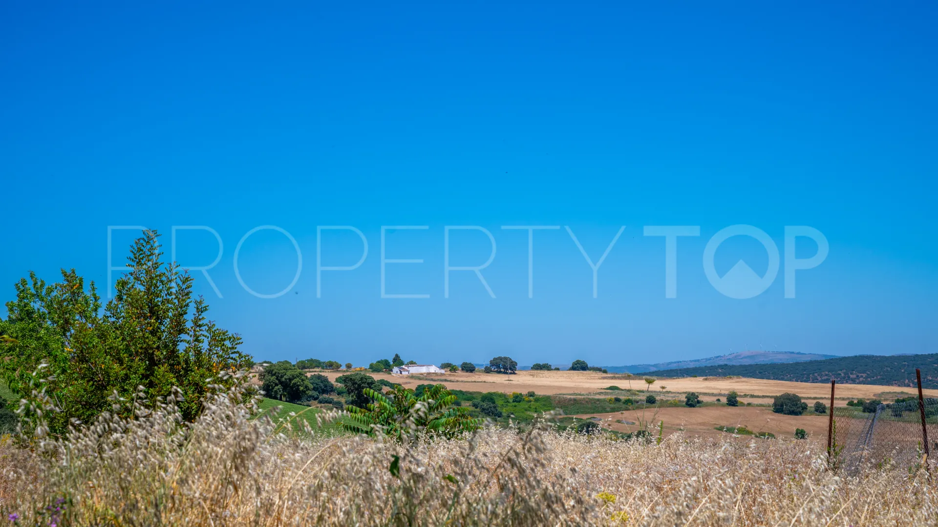 Buy 5 bedrooms cortijo in Ronda