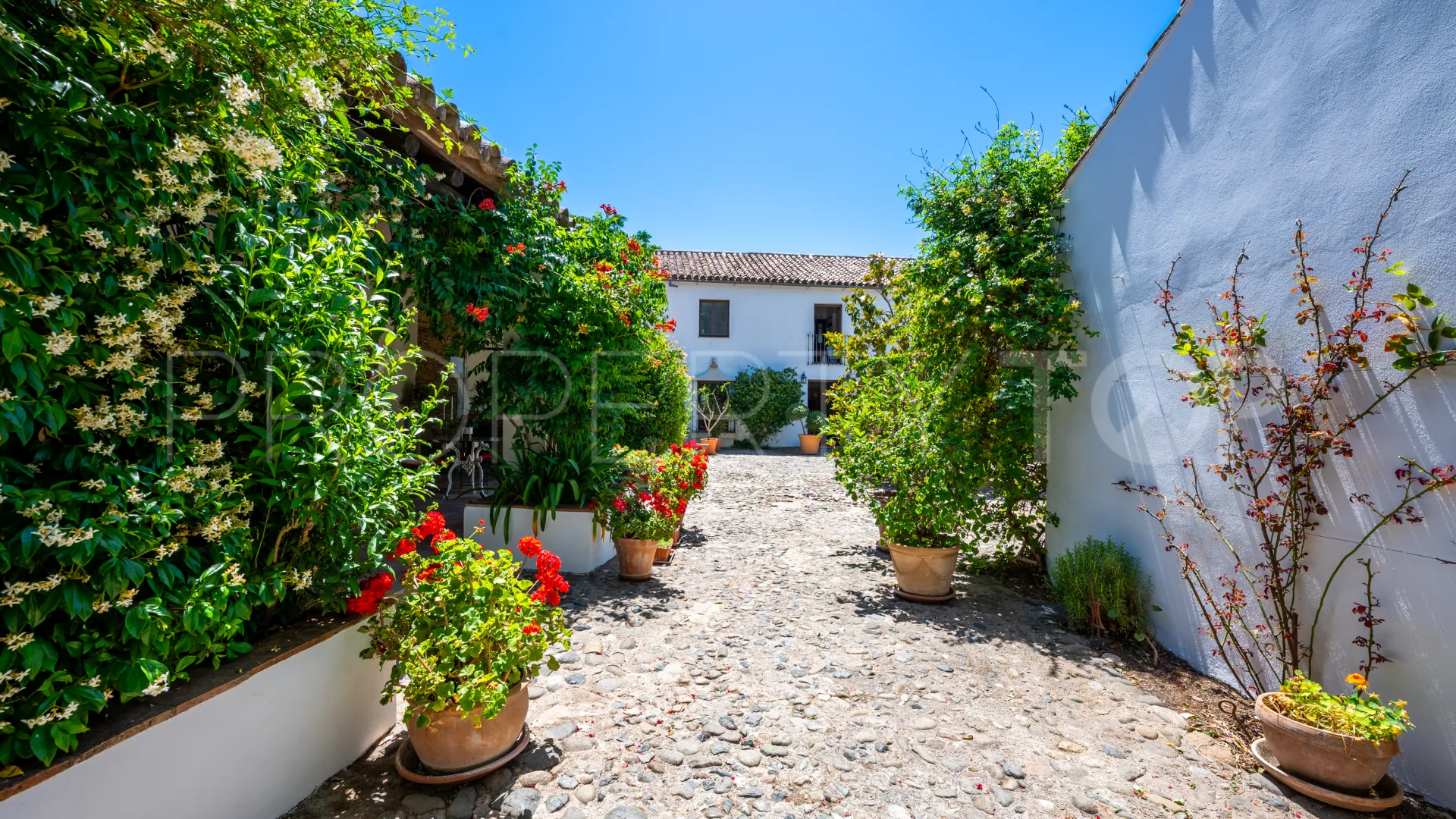 Buy 5 bedrooms cortijo in Ronda