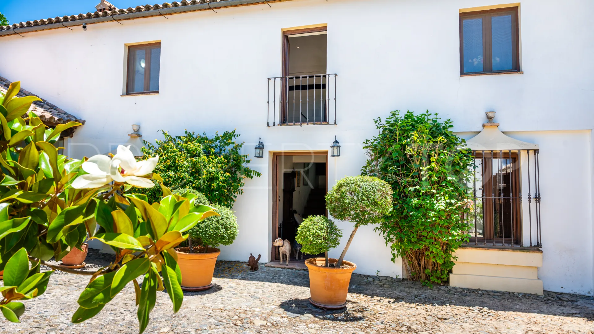 Buy 5 bedrooms cortijo in Ronda