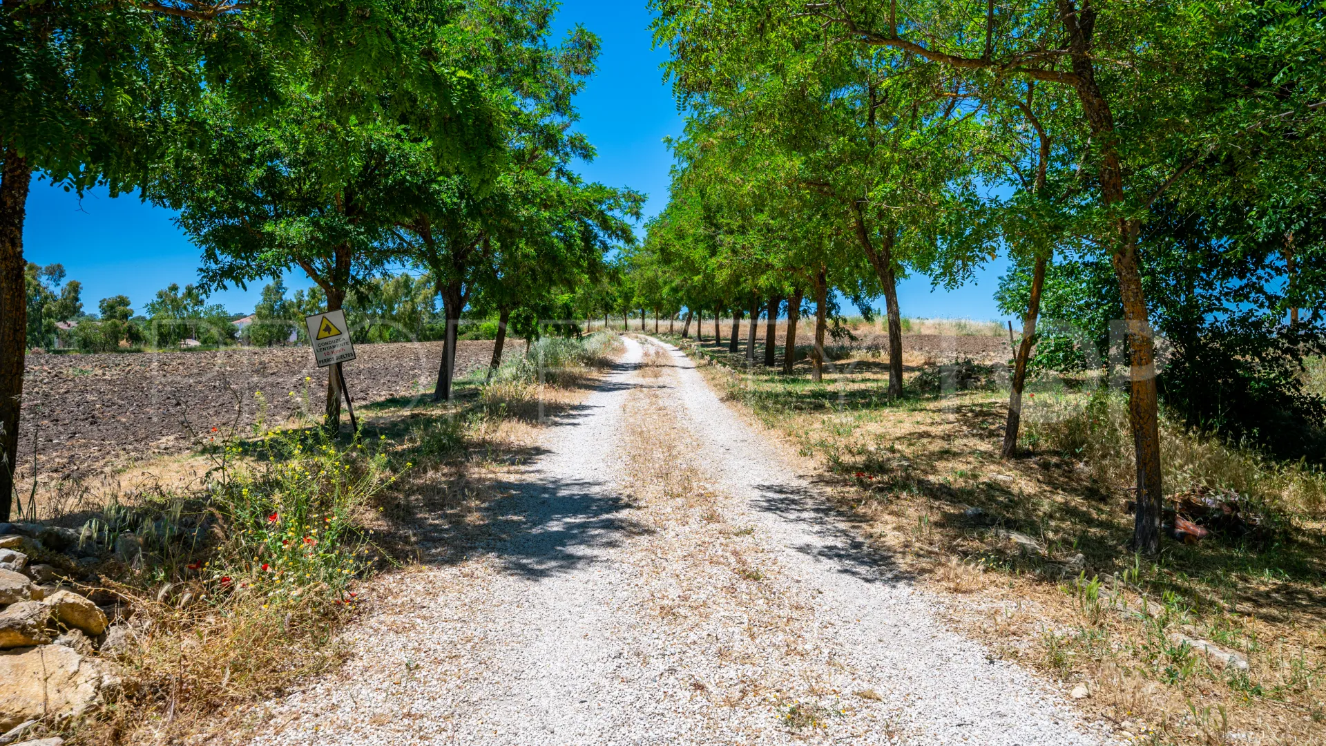 Buy 5 bedrooms cortijo in Ronda