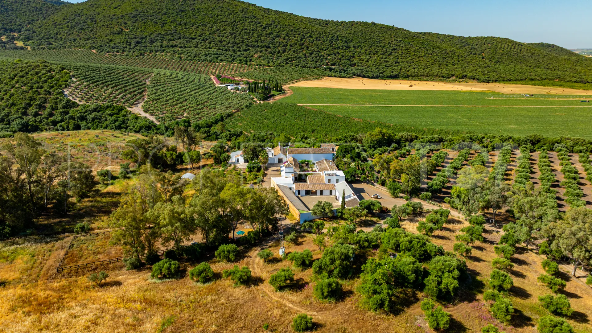 9 bedrooms cortijo for sale in Prado del Rey