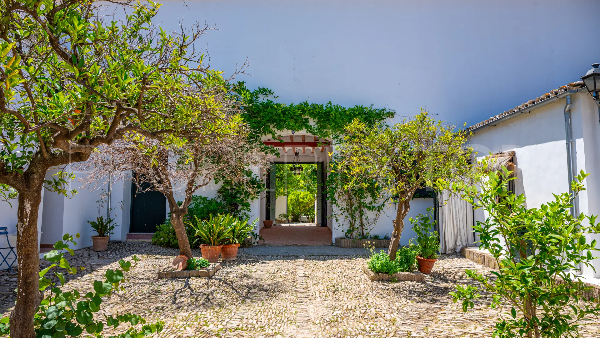 9 bedrooms cortijo for sale in Prado del Rey
