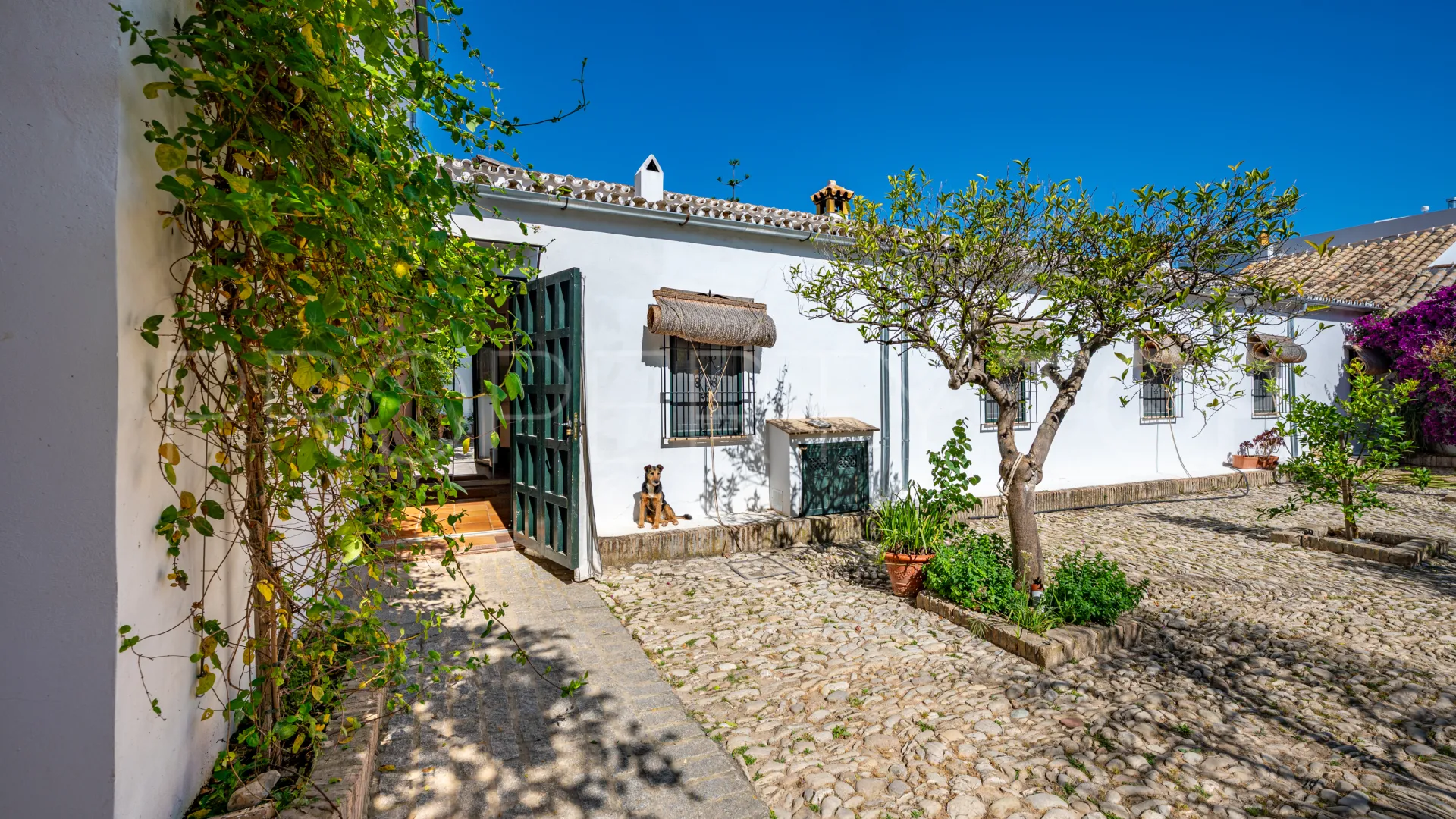 9 bedrooms cortijo for sale in Prado del Rey