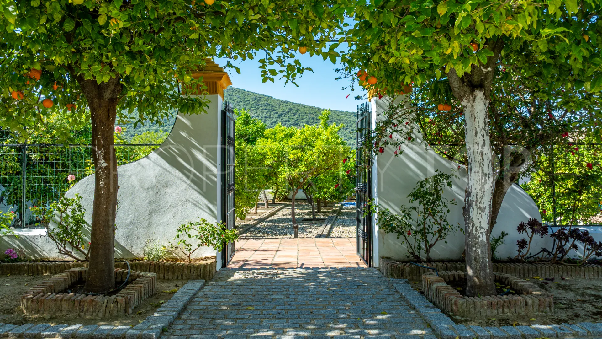 9 bedrooms cortijo for sale in Prado del Rey