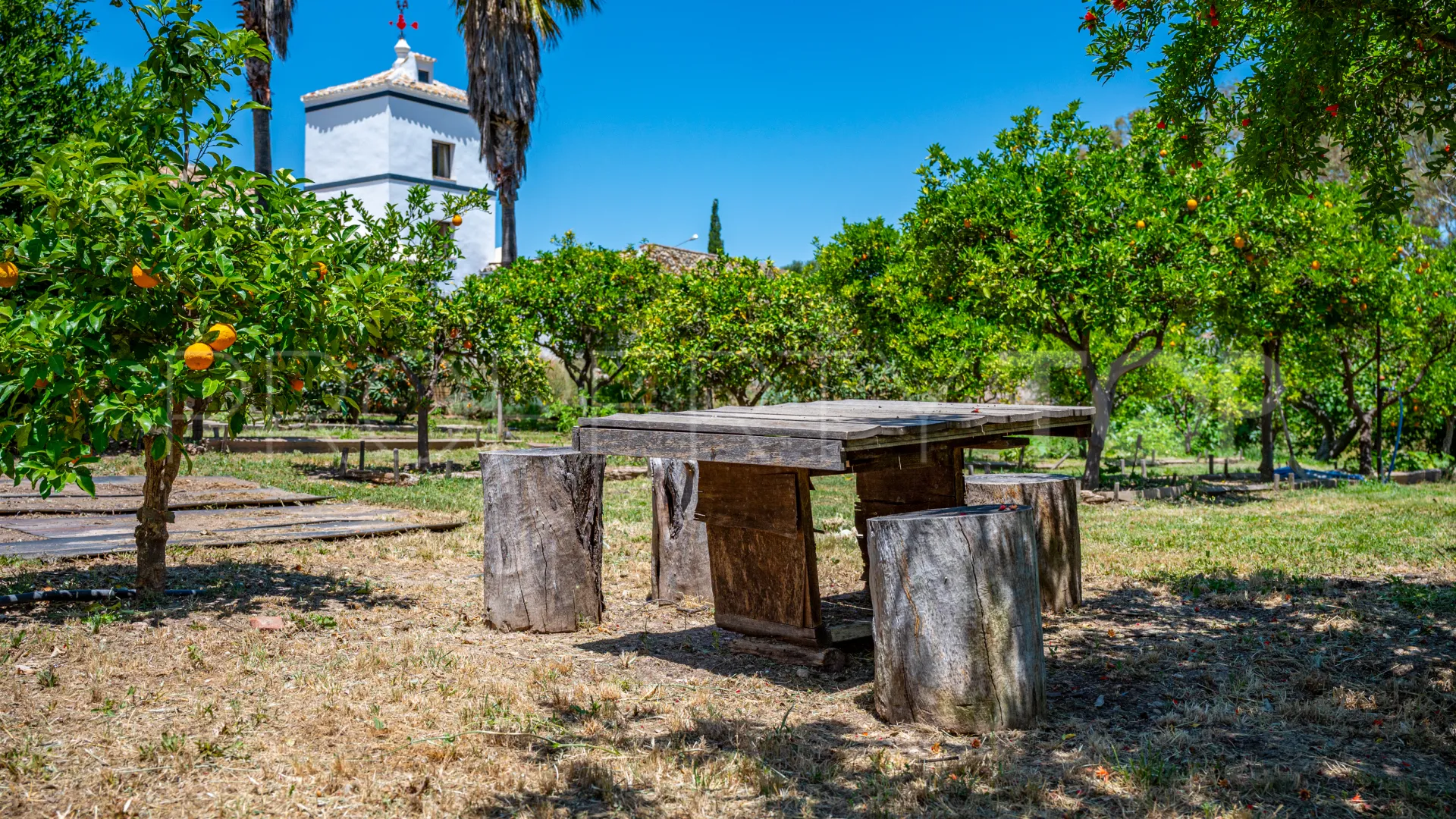 9 bedrooms cortijo for sale in Prado del Rey