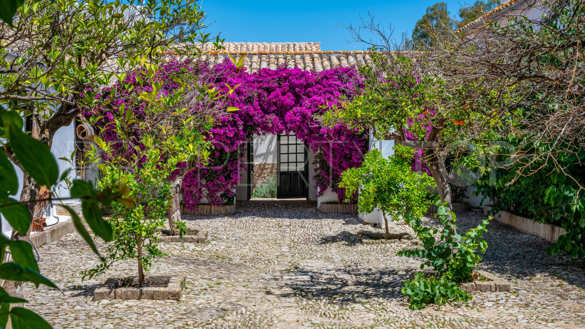 9 bedrooms cortijo for sale in Prado del Rey
