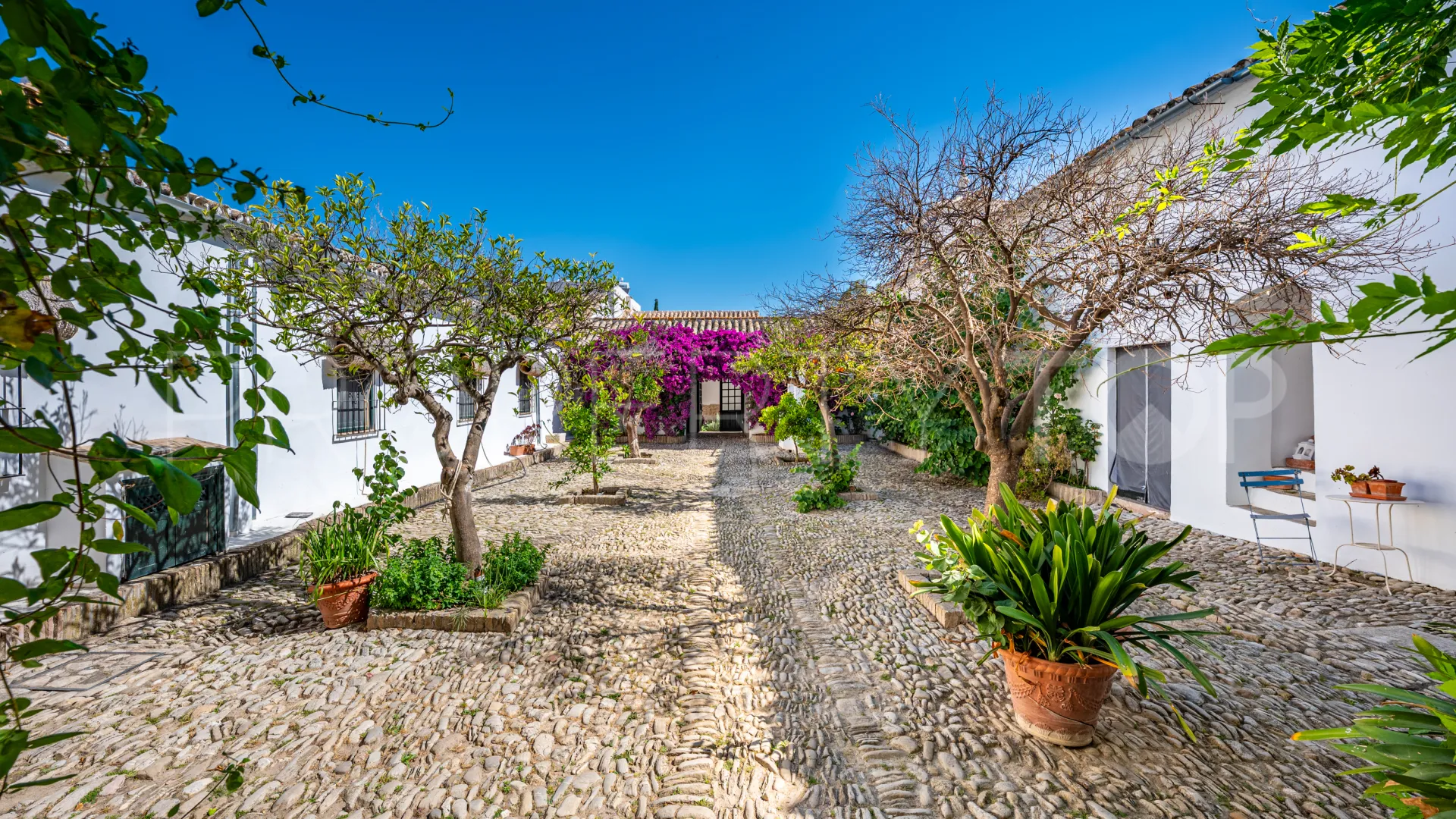 9 bedrooms cortijo for sale in Prado del Rey