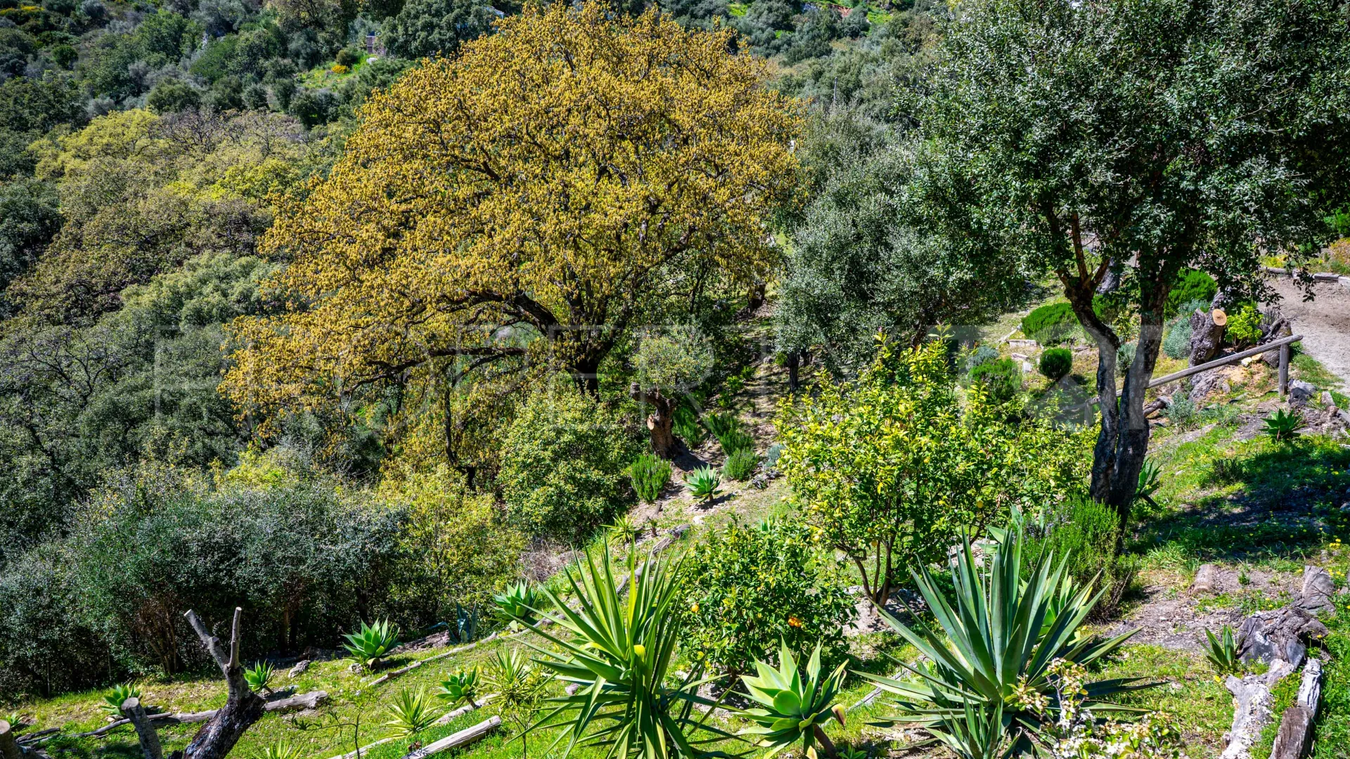 Se vende casa de campo en Casares