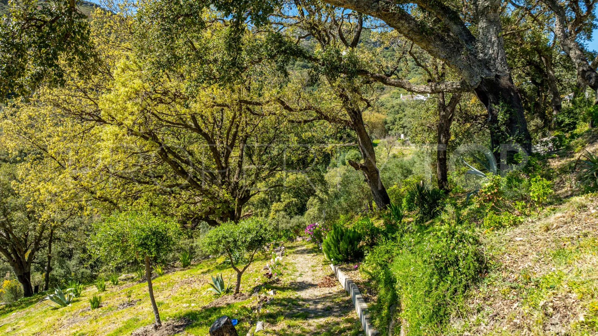 Se vende casa de campo en Casares