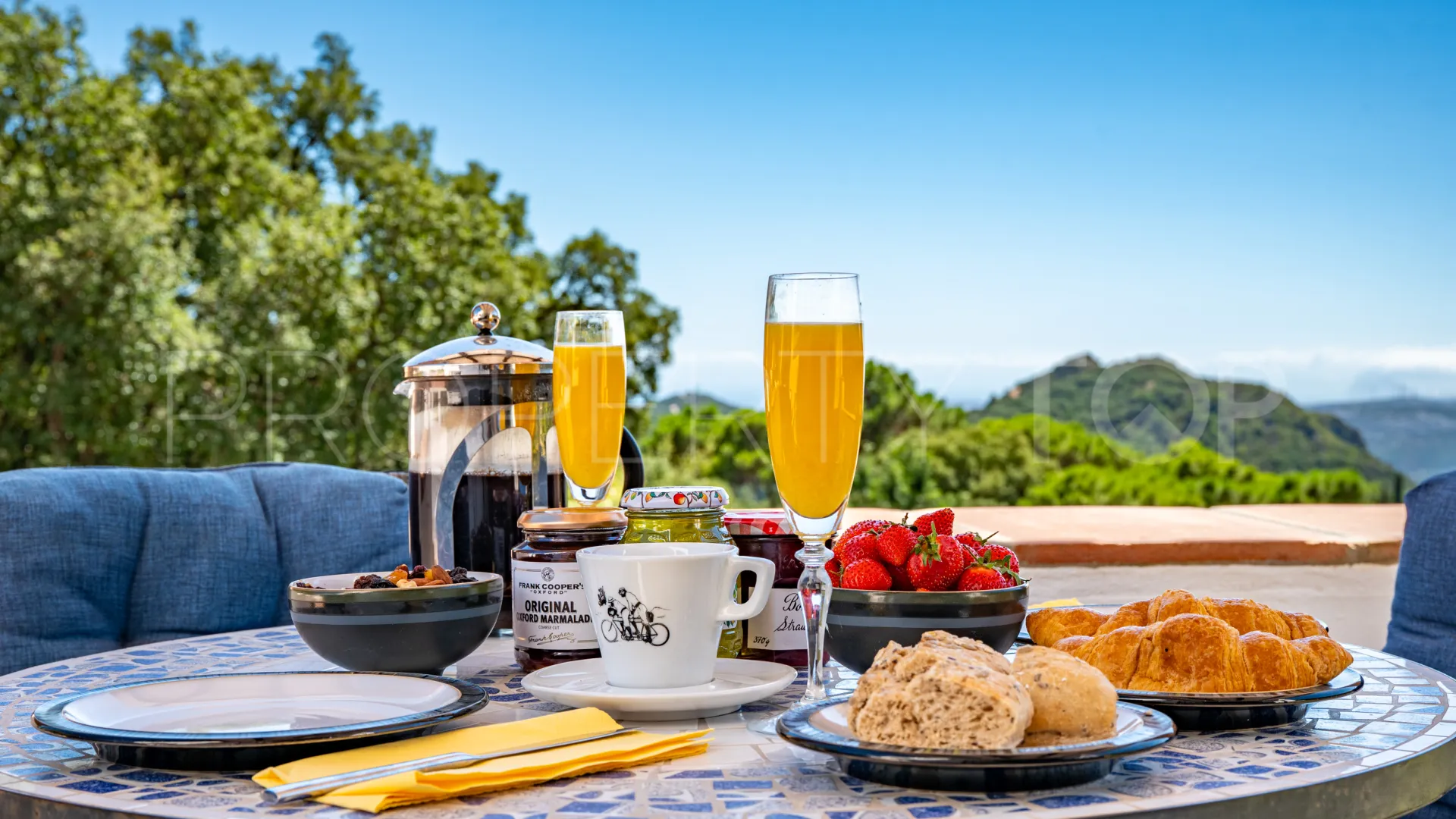 Casares country house for sale