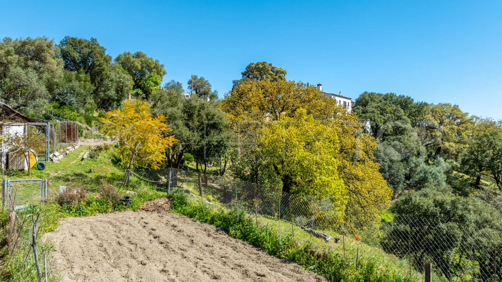 Se vende casa de campo en Casares