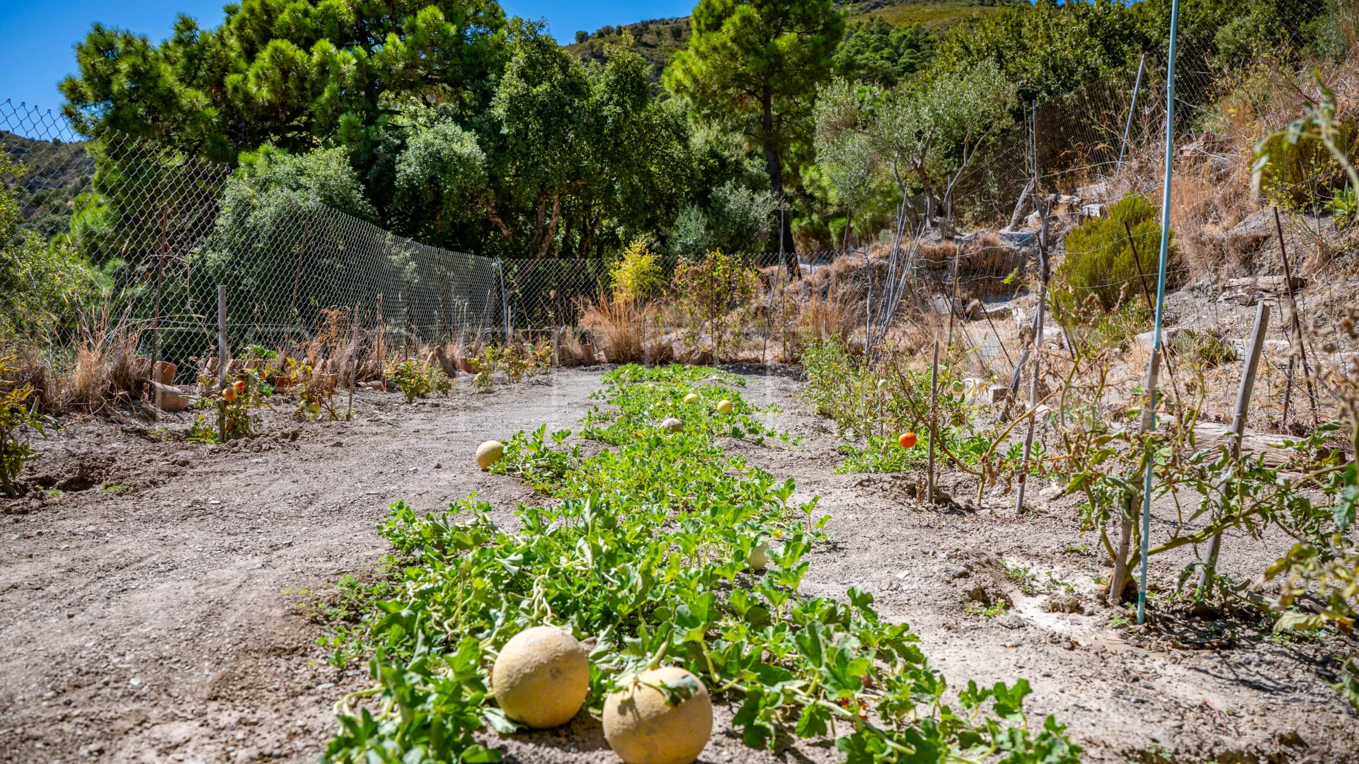 Casares country house for sale