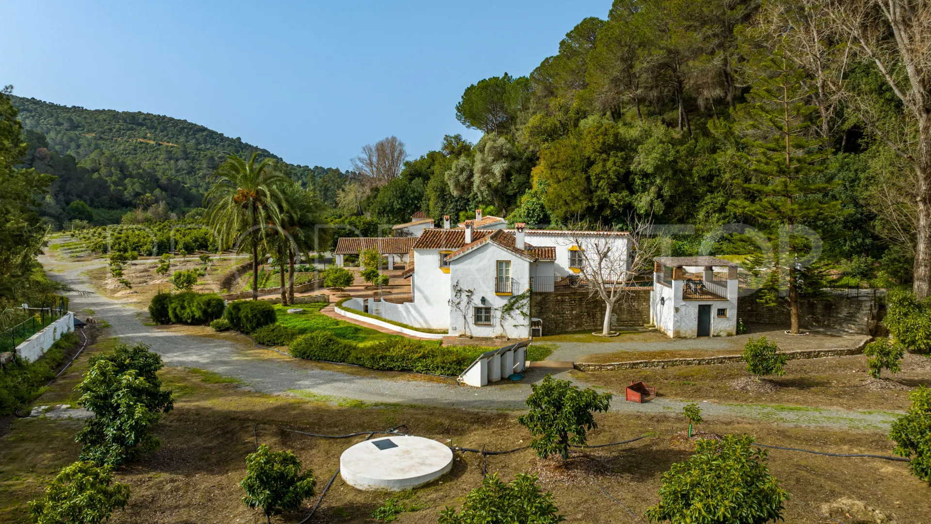 Comprar cortijo de 8 dormitorios en Gaucin