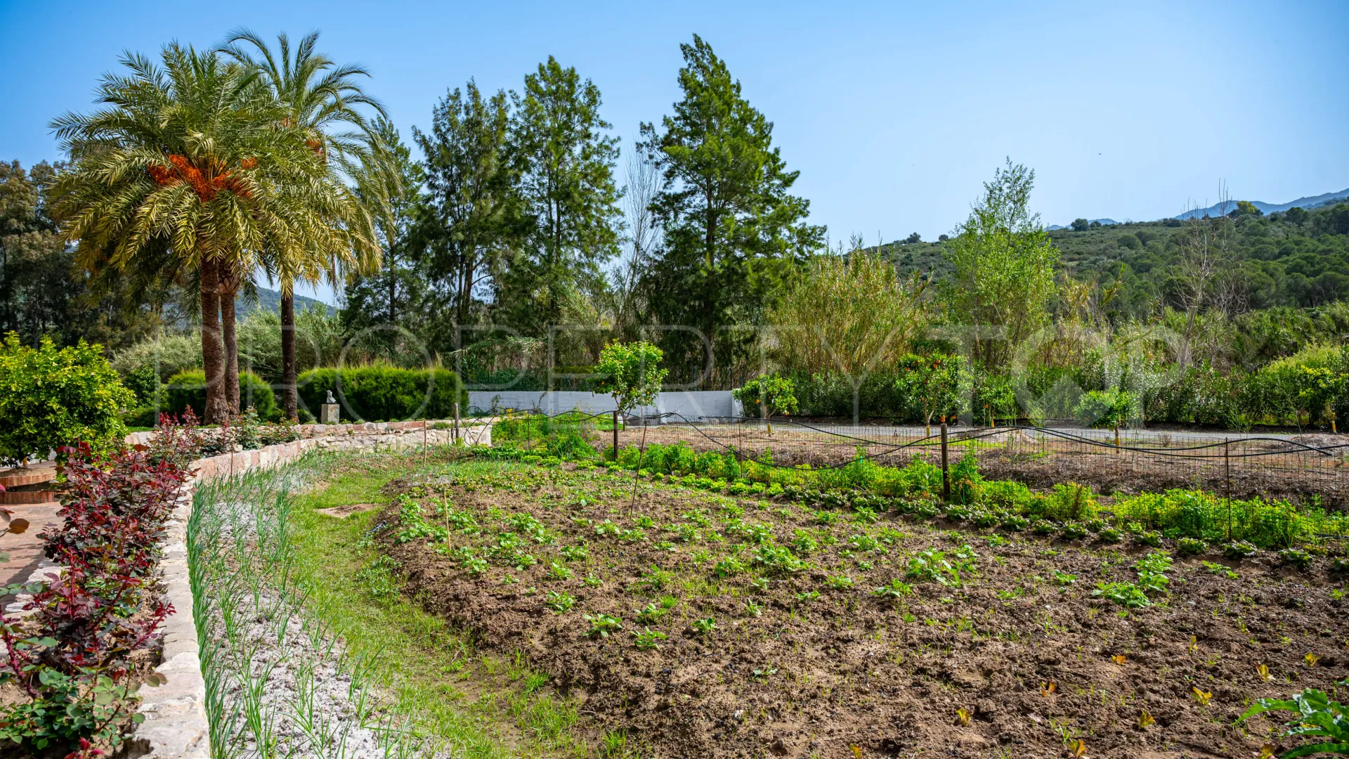 Comprar cortijo de 8 dormitorios en Gaucin