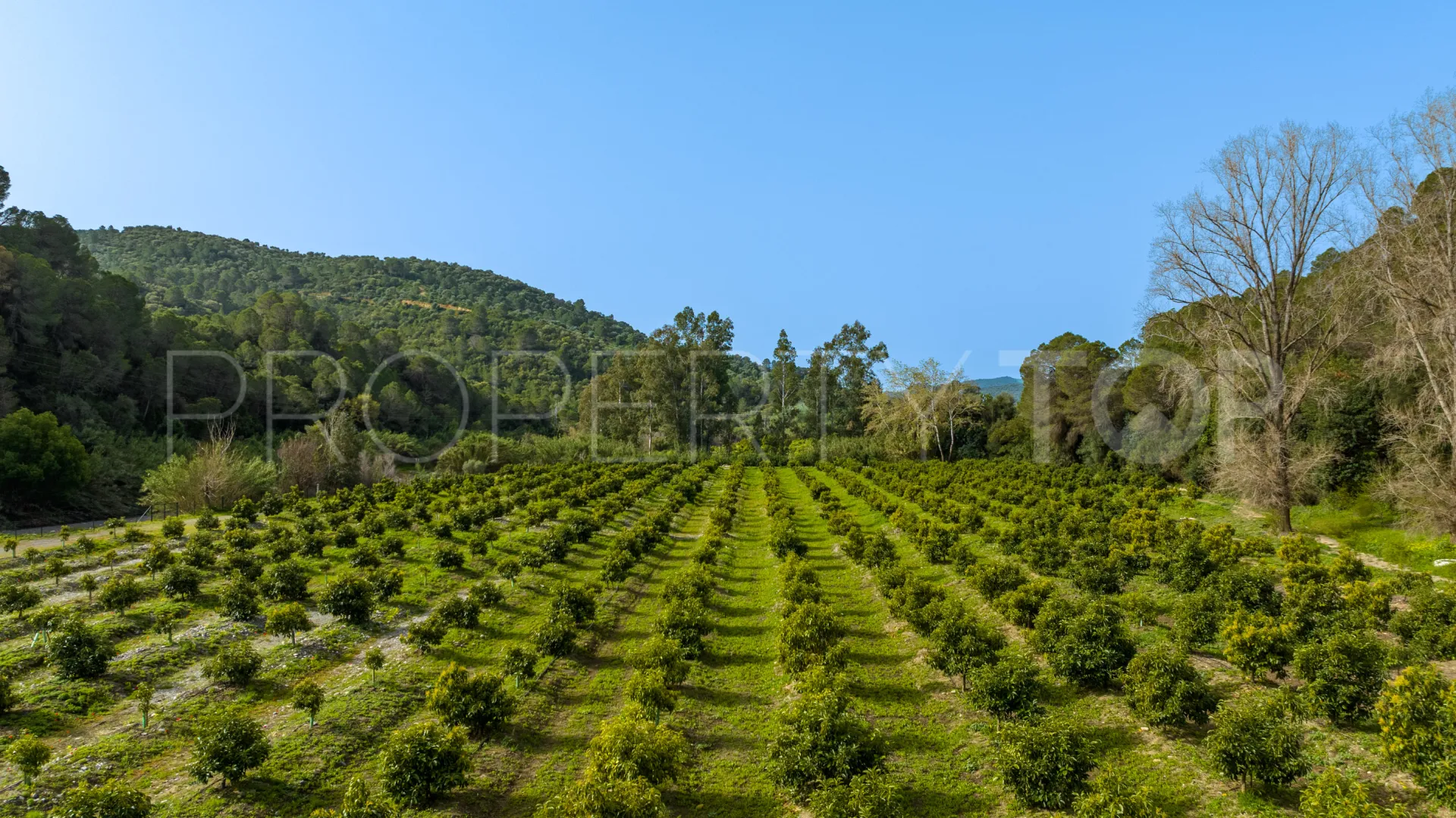 Comprar cortijo de 8 dormitorios en Gaucin