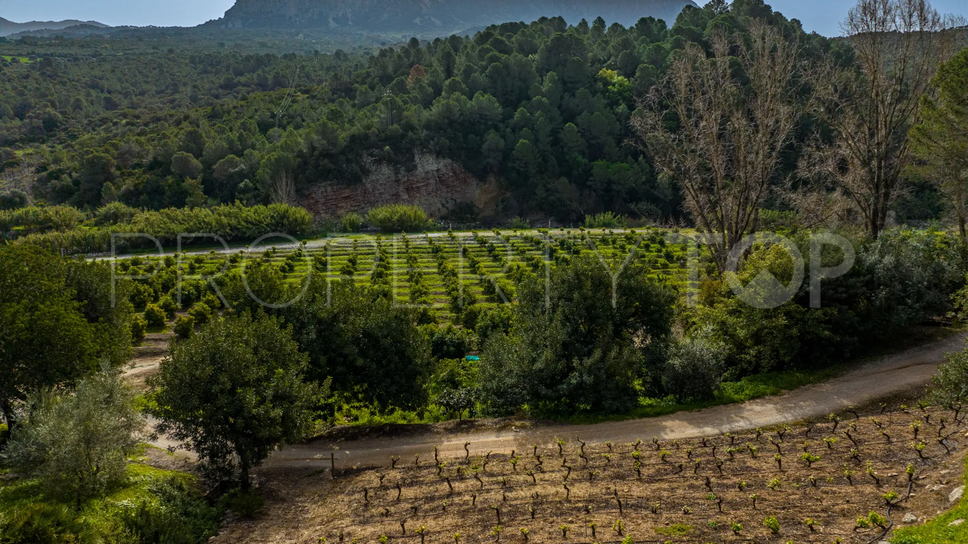 Comprar cortijo de 8 dormitorios en Gaucin