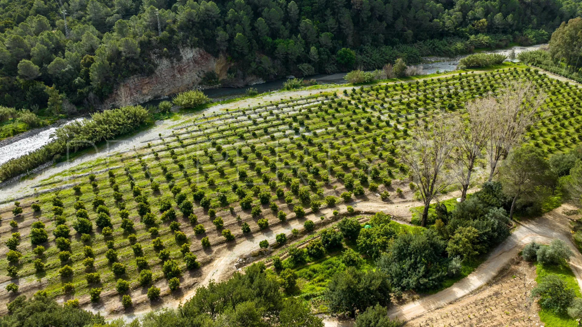 Comprar cortijo de 8 dormitorios en Gaucin
