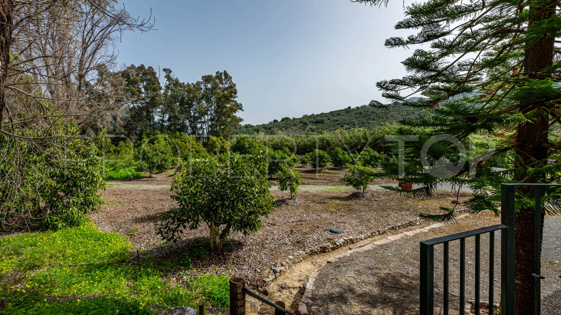 Comprar cortijo de 8 dormitorios en Gaucin