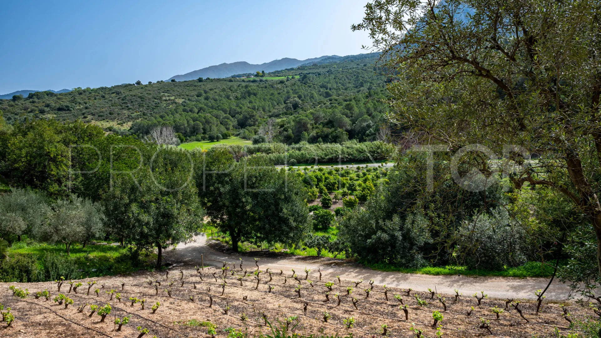 Comprar cortijo de 8 dormitorios en Gaucin