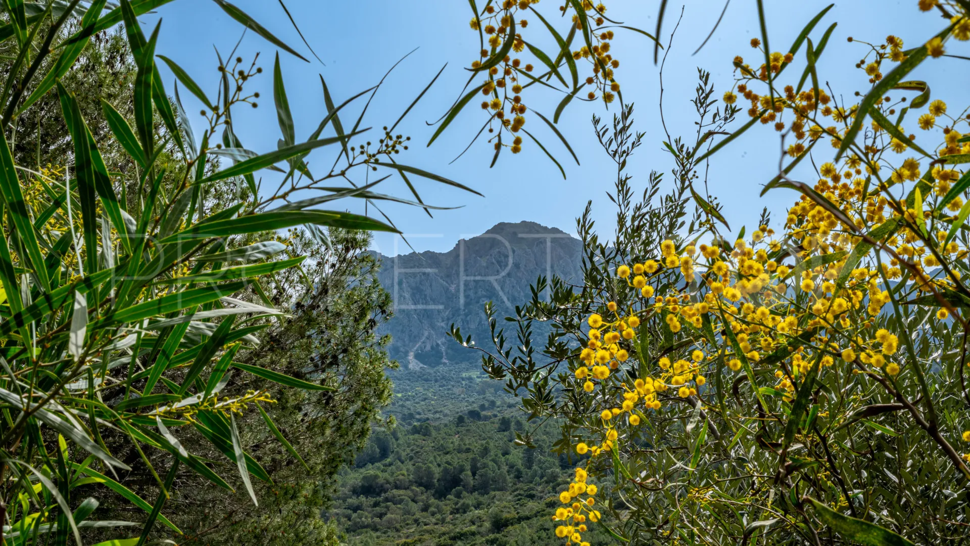 Comprar cortijo de 8 dormitorios en Gaucin