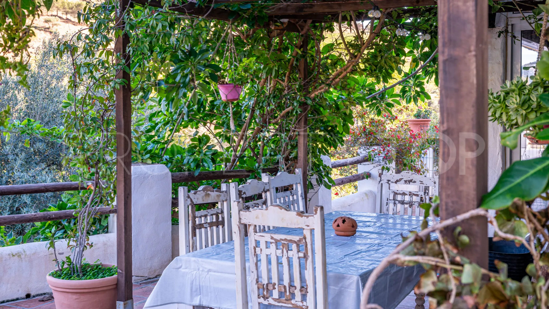 Se vende finca en Almogia de 7 dormitorios