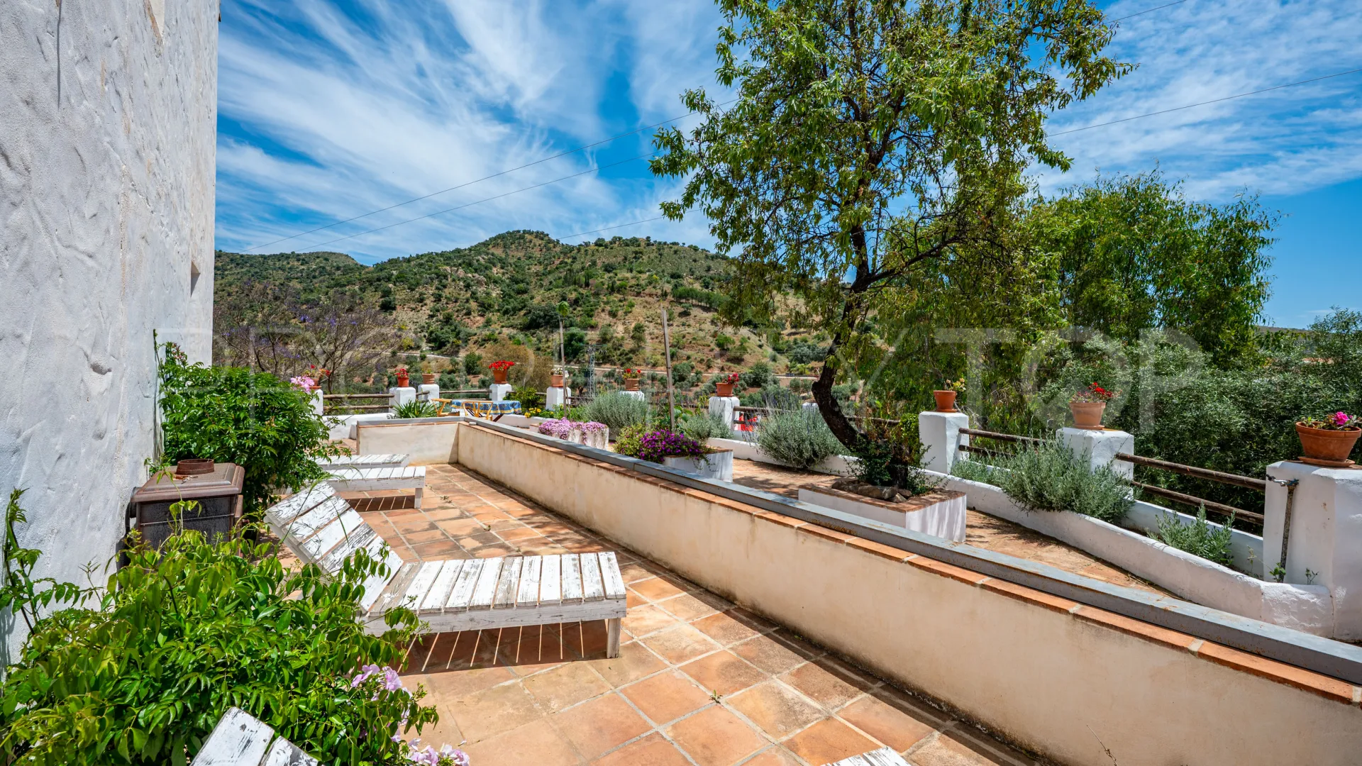 Se vende finca en Almogia de 7 dormitorios