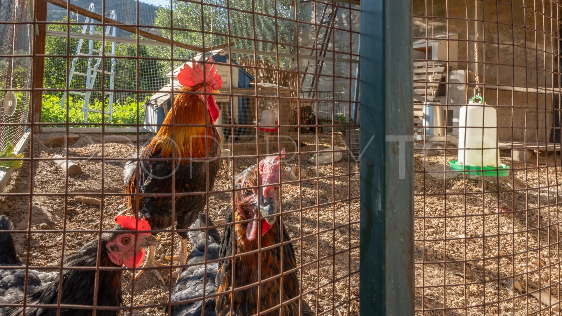 Se vende finca en Almogia de 7 dormitorios