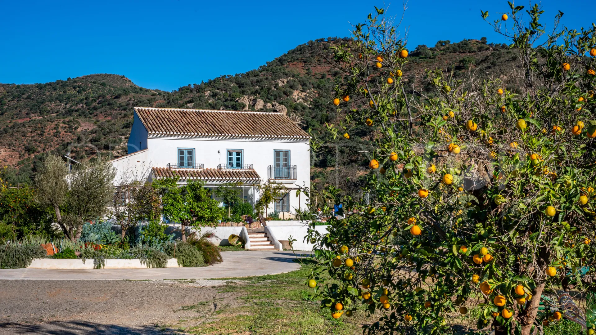 Se vende finca en Almogia de 7 dormitorios