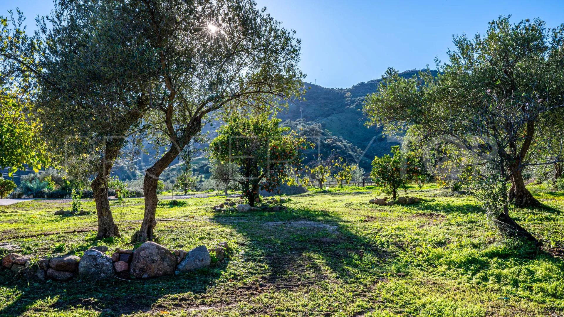 Se vende finca en Almogia de 7 dormitorios