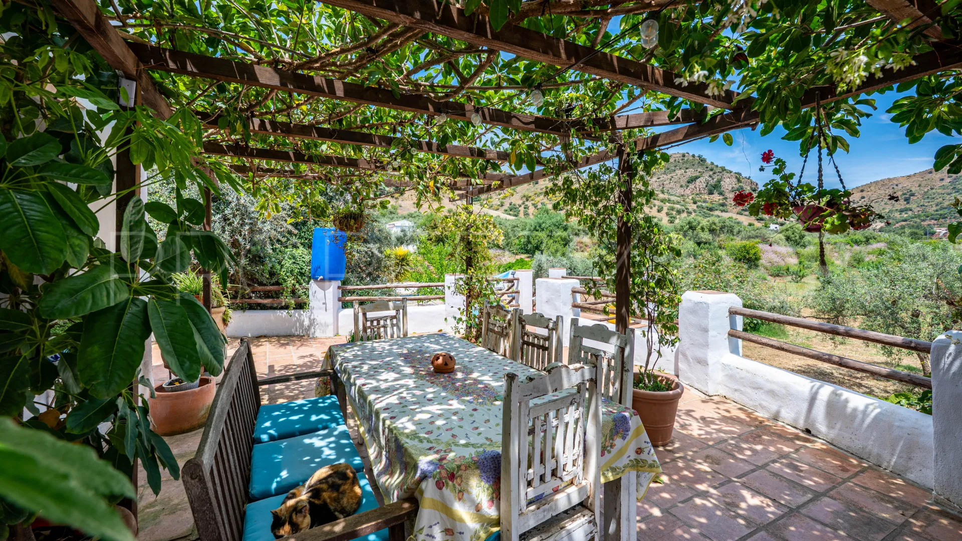 Se vende finca en Almogia de 7 dormitorios