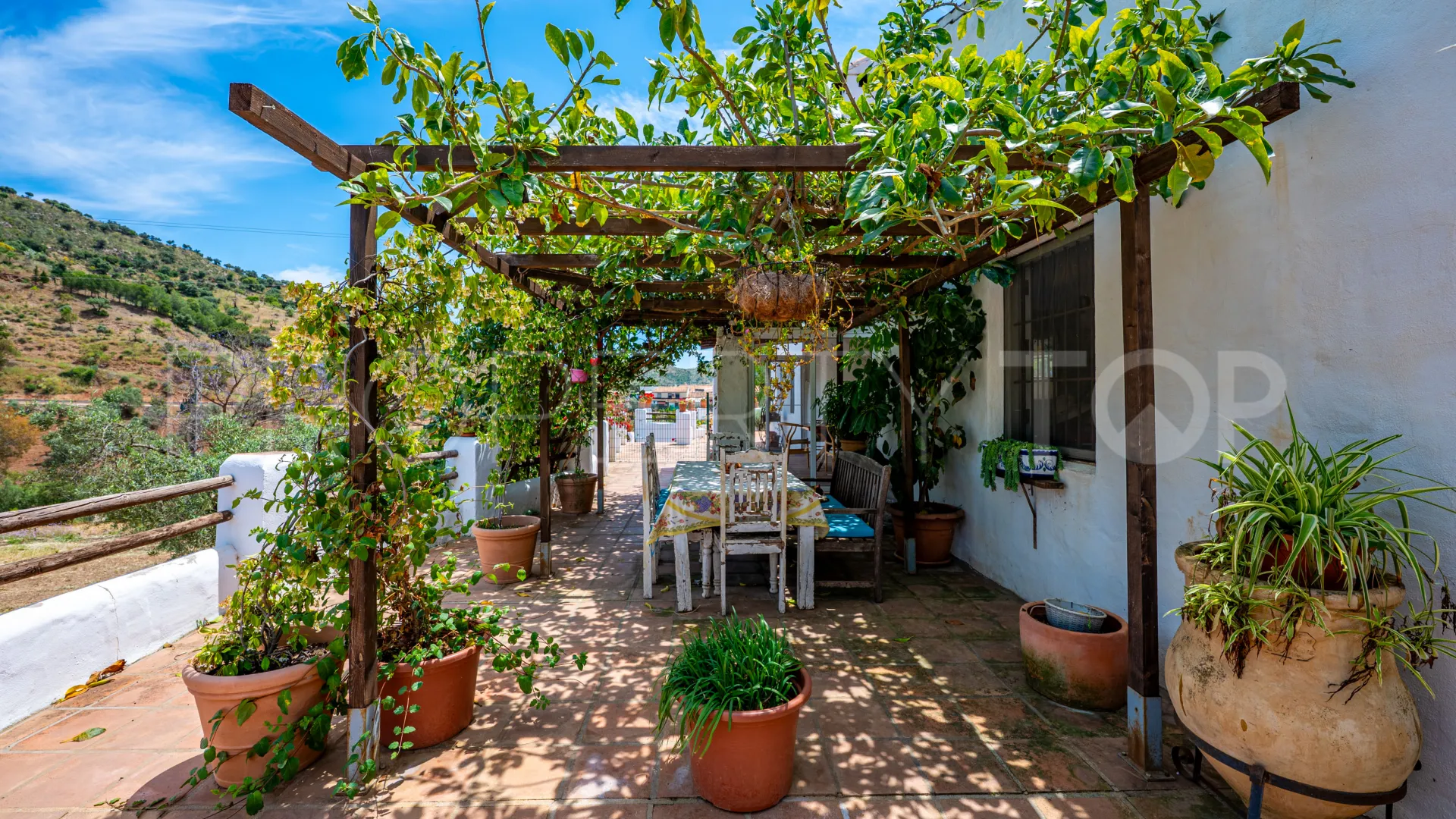 Se vende finca en Almogia de 7 dormitorios