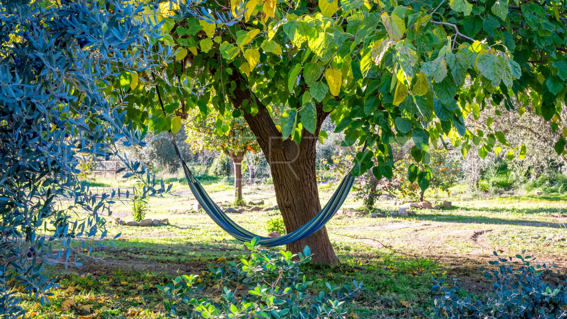 Se vende finca en Almogia de 7 dormitorios