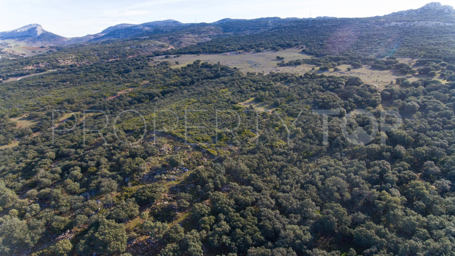 Plot for sale in Ronda