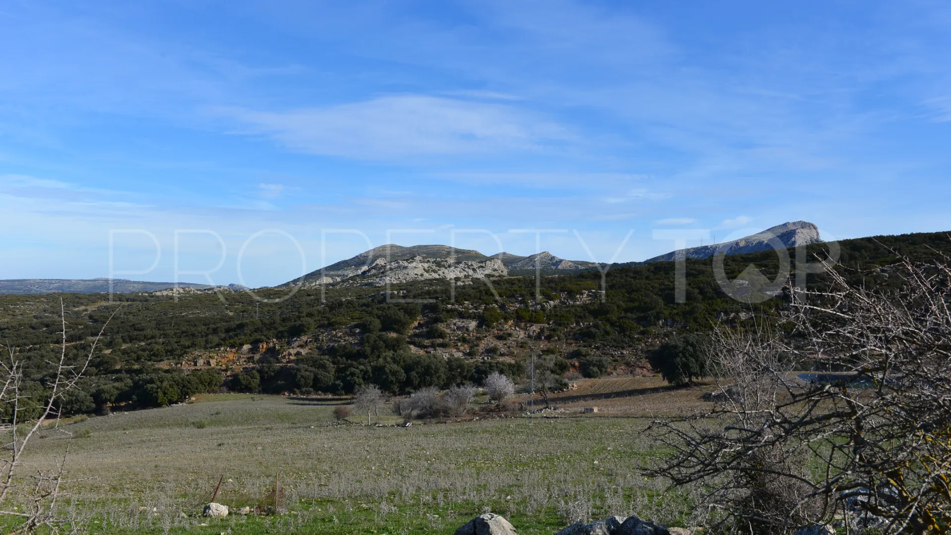 Plot for sale in Ronda