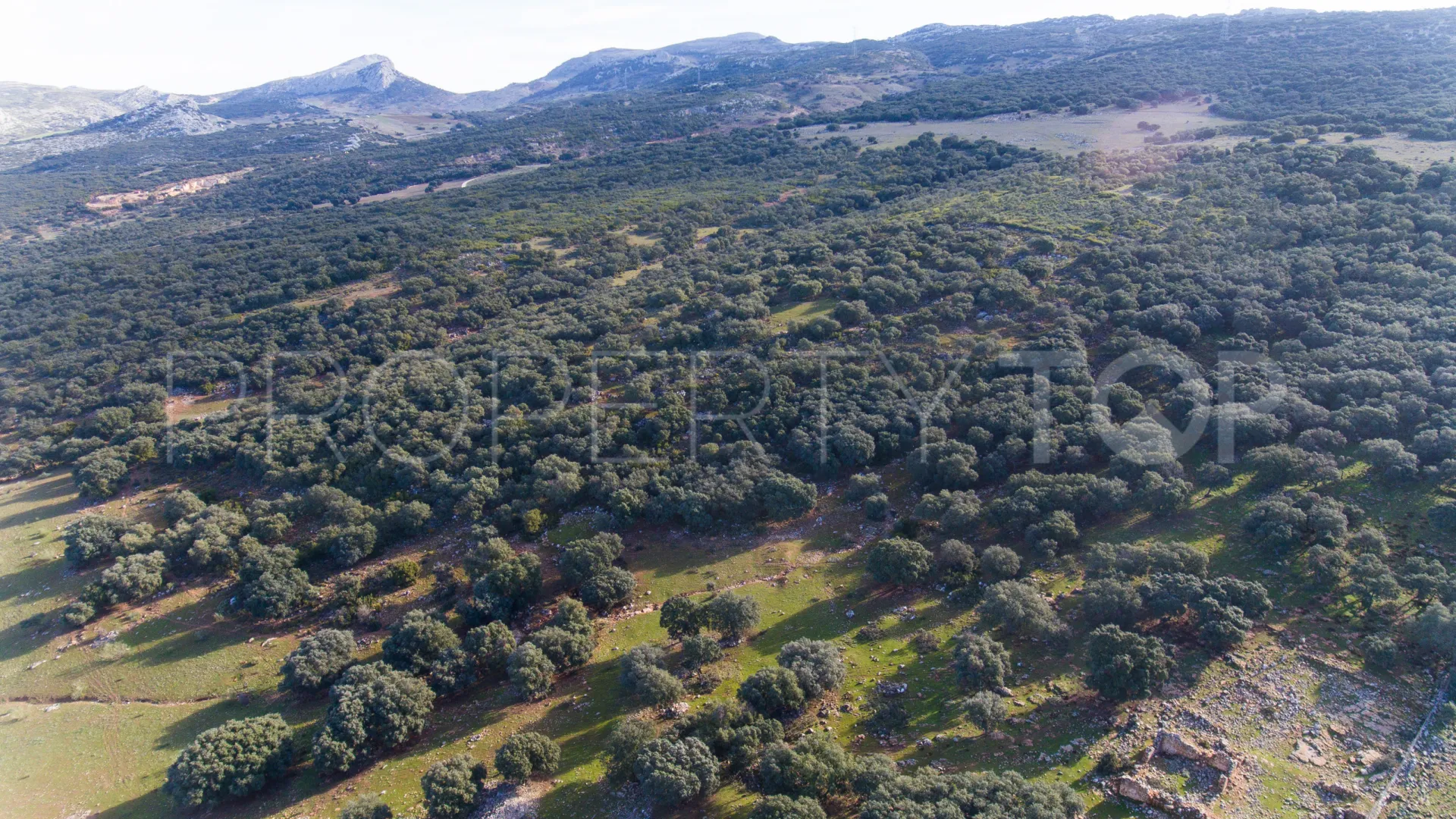 Plot for sale in Ronda