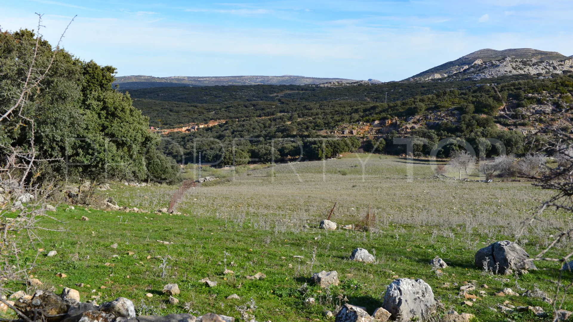 Plot for sale in Ronda