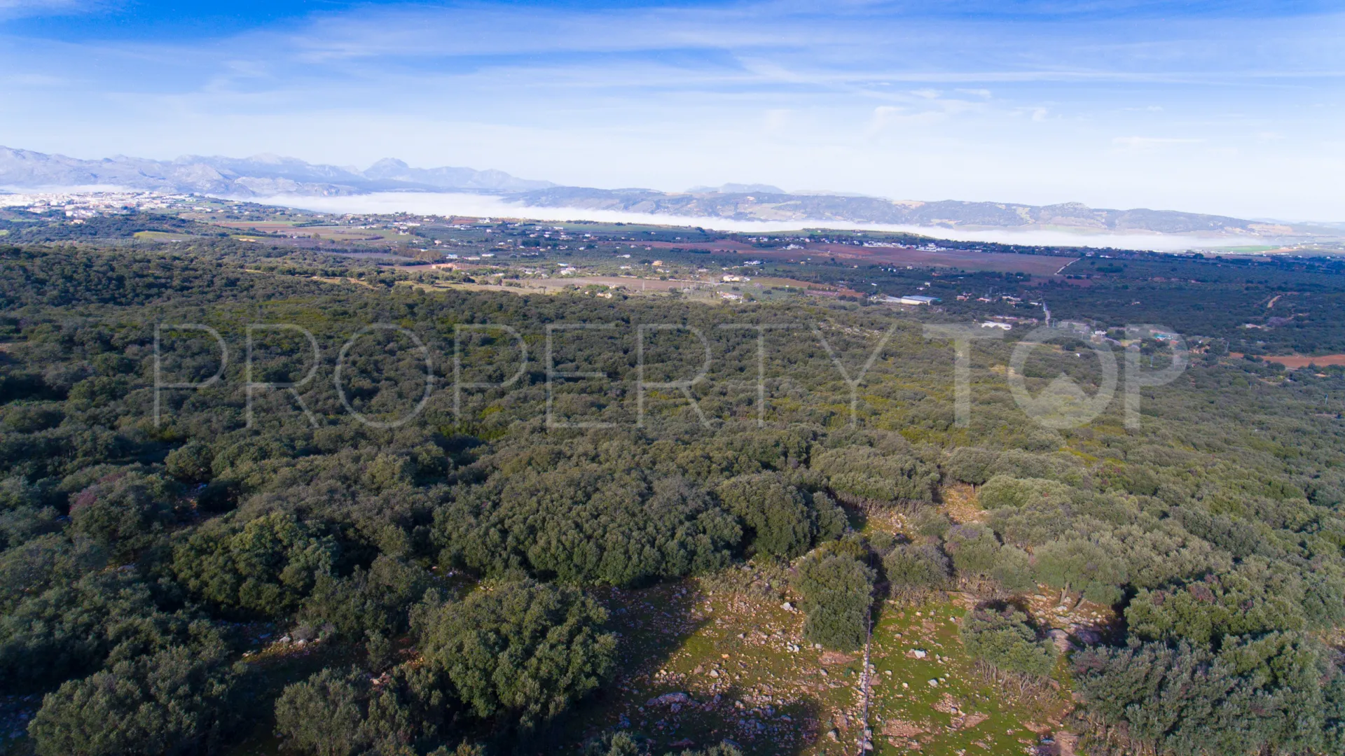 Plot for sale in Ronda