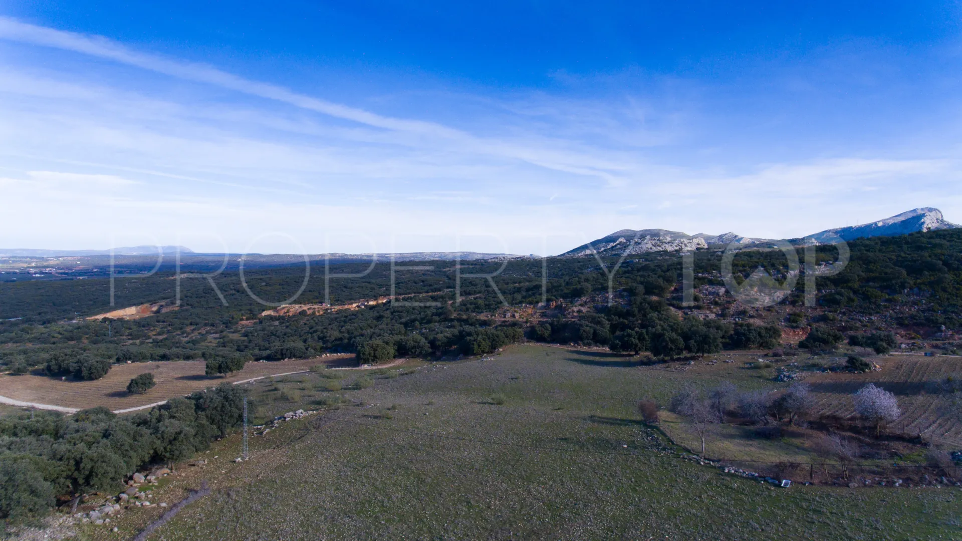 Plot for sale in Ronda