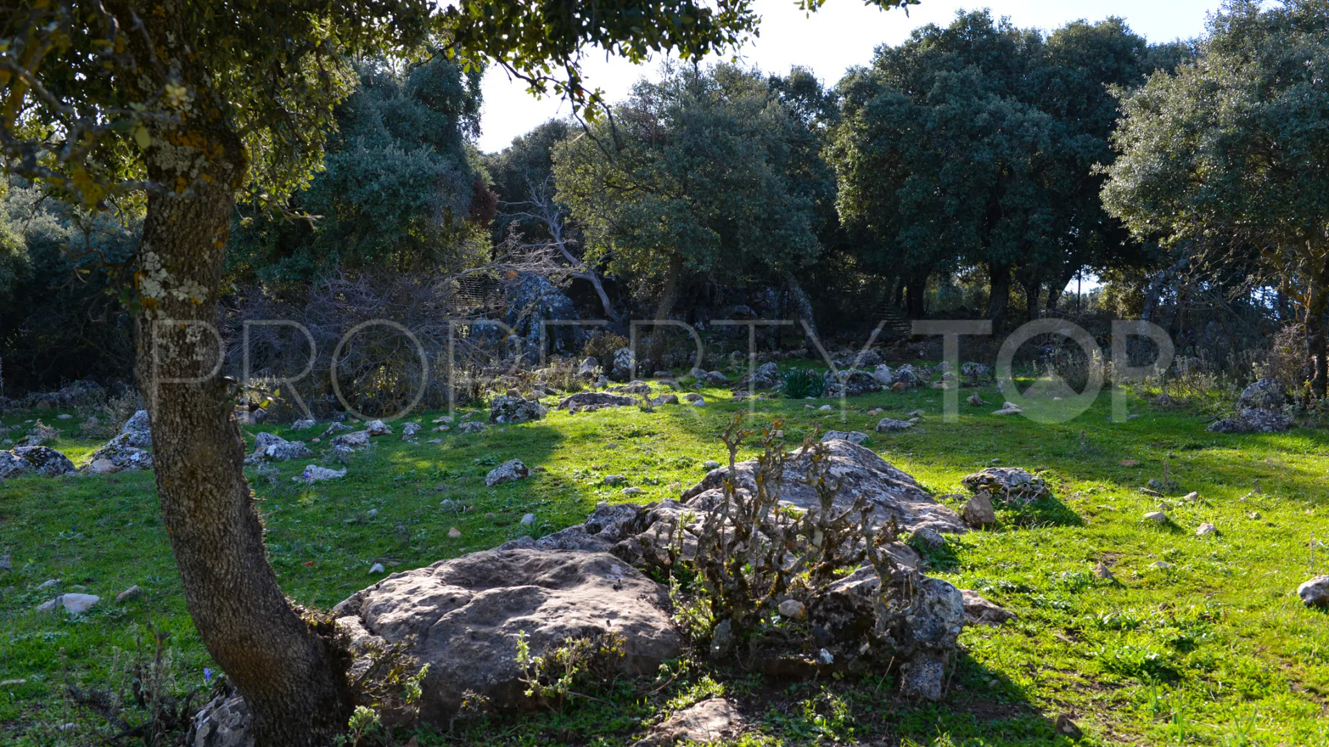 Plot for sale in Ronda