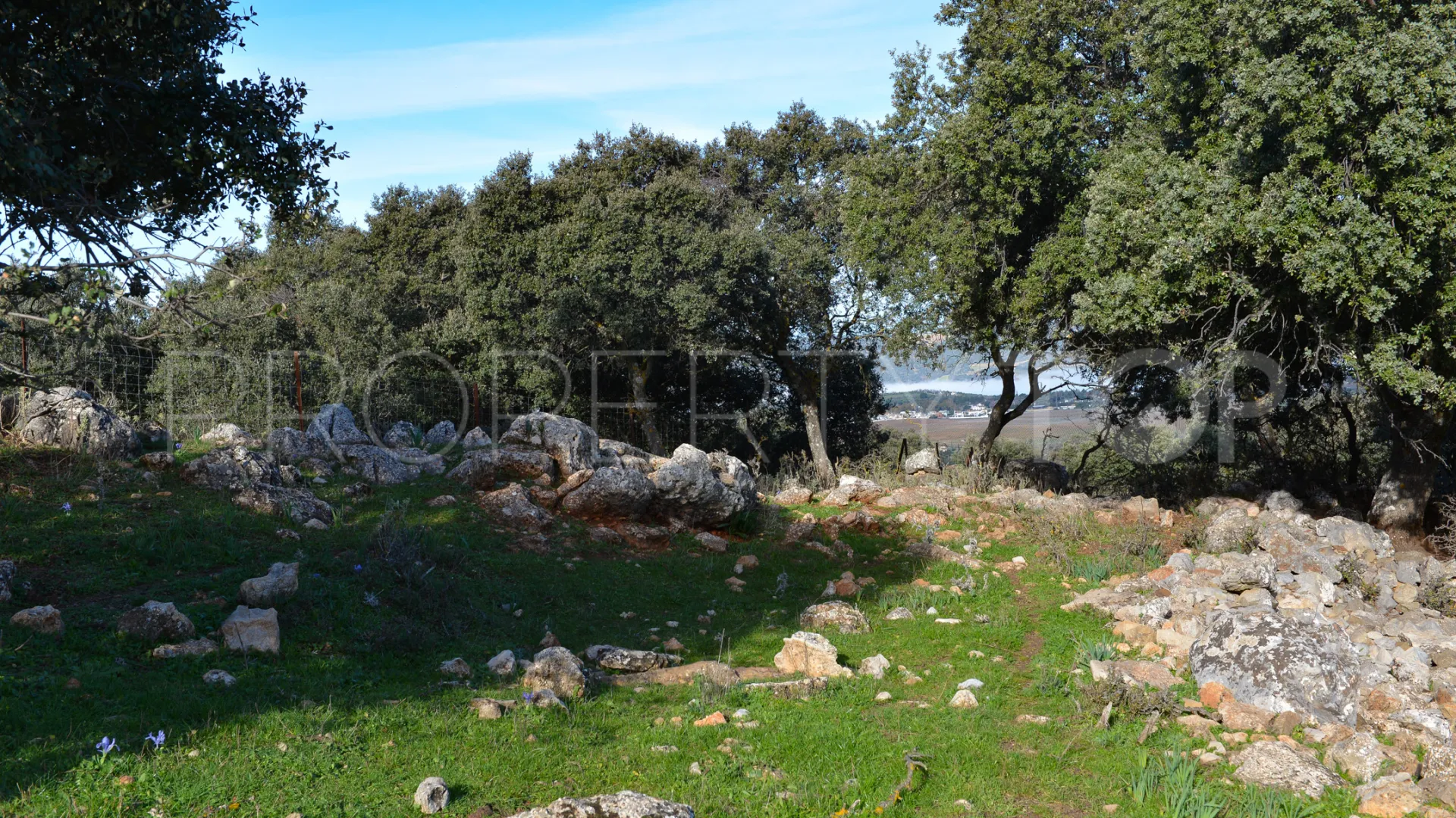 Plot for sale in Ronda