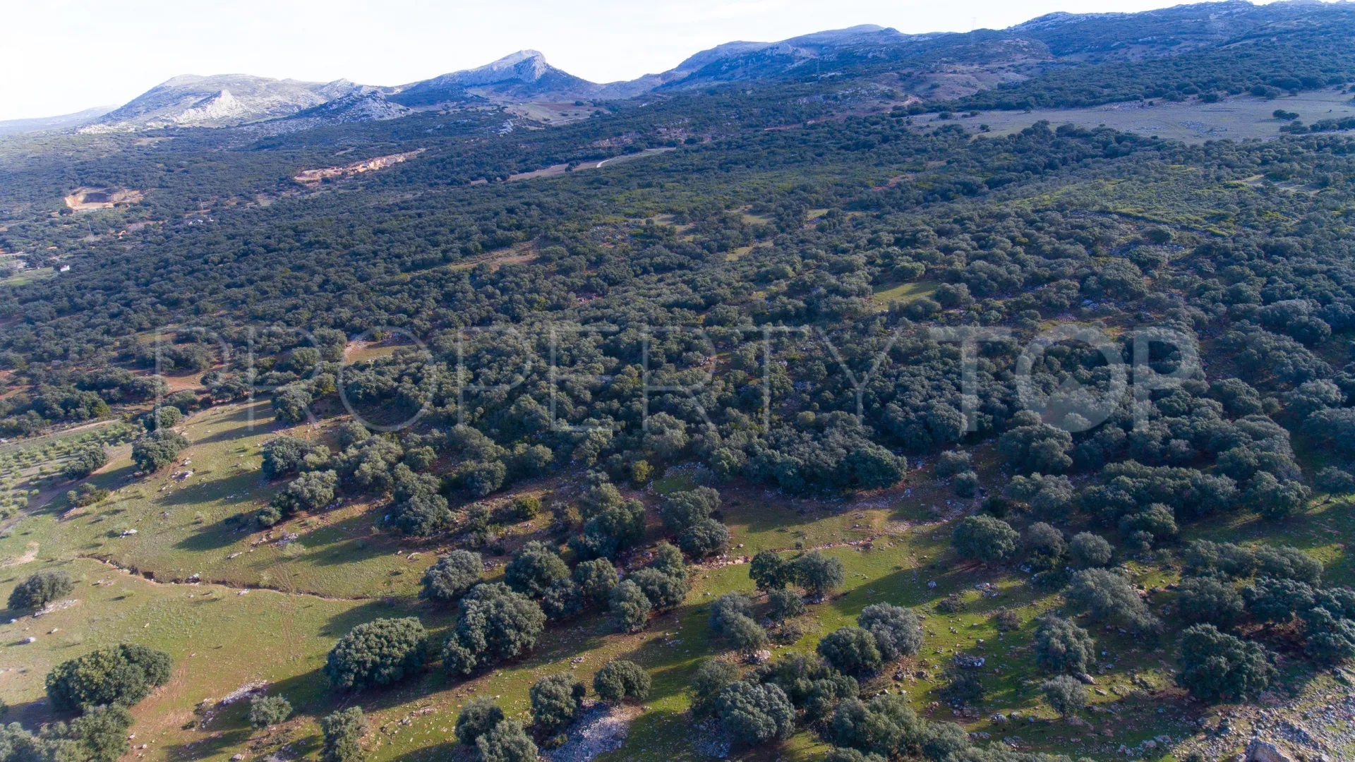 Plot for sale in Ronda