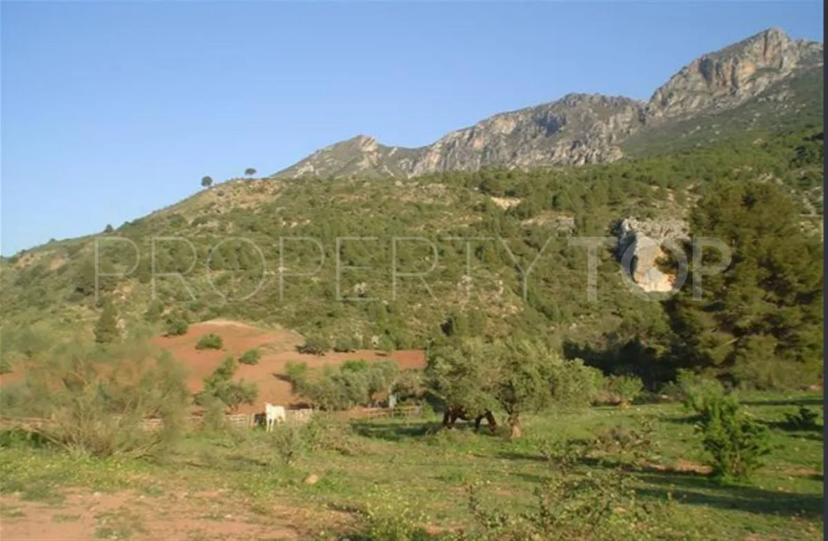 Ardales 3 bedrooms finca for sale