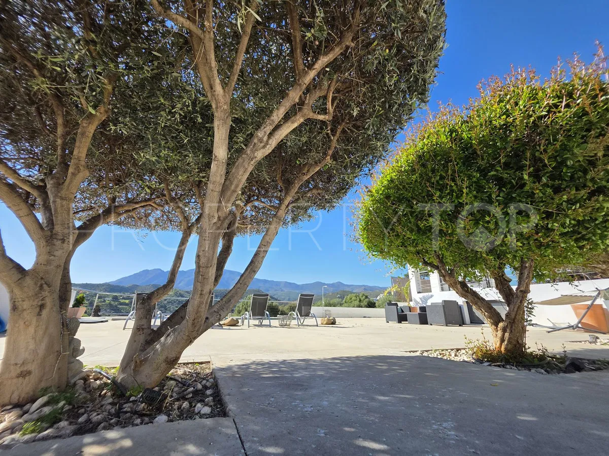 Puerto Romano villa for sale