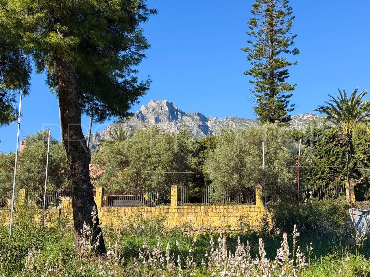 For sale Golden Mile plot