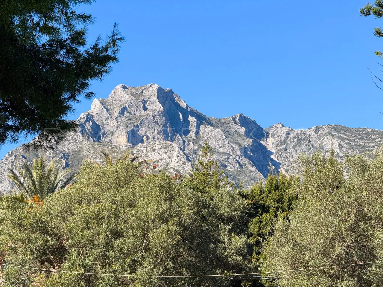 For sale Golden Mile plot