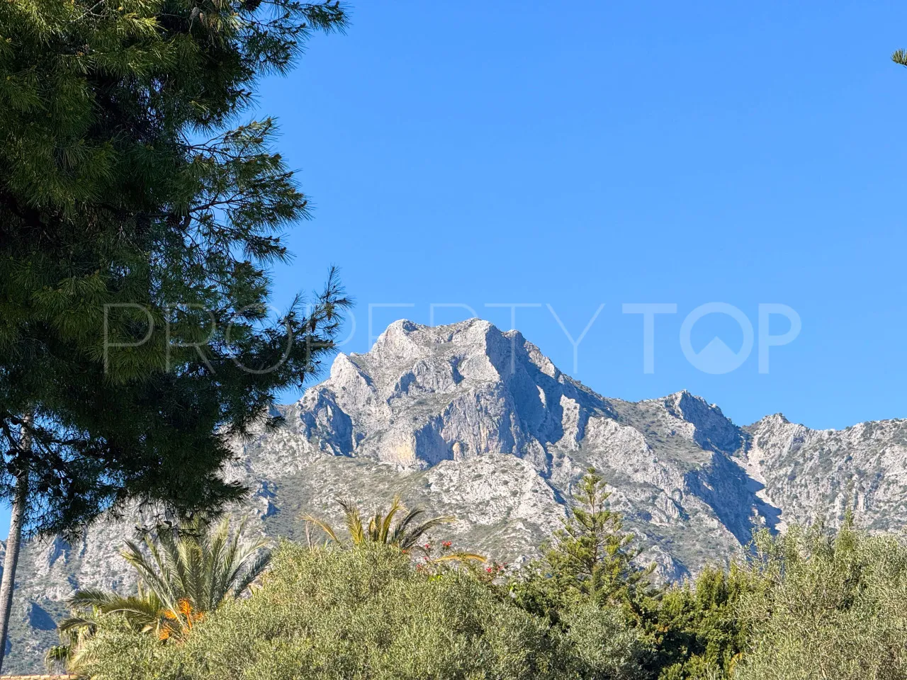 For sale Golden Mile plot