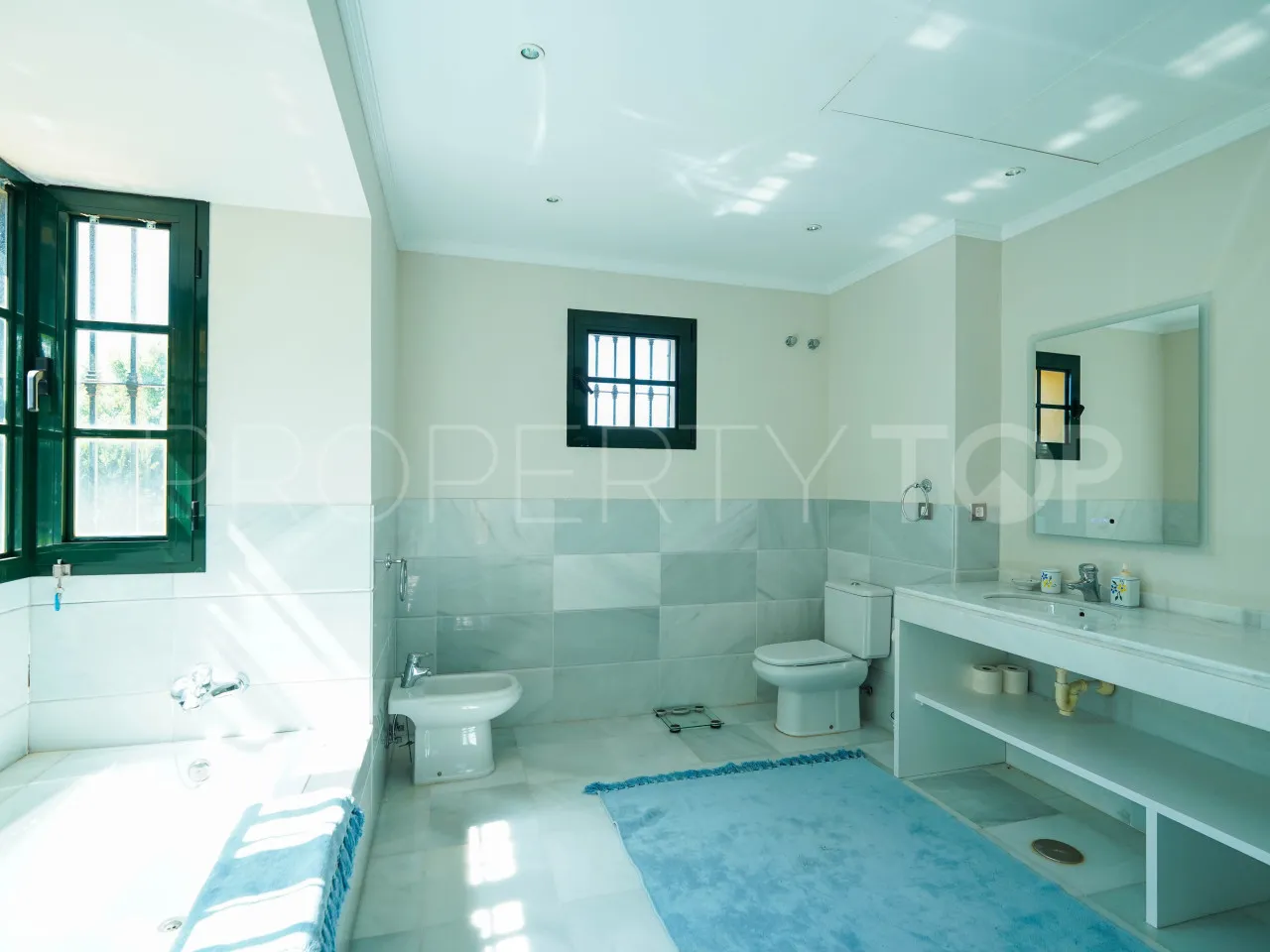 Villa in Guadalmina Baja for sale
