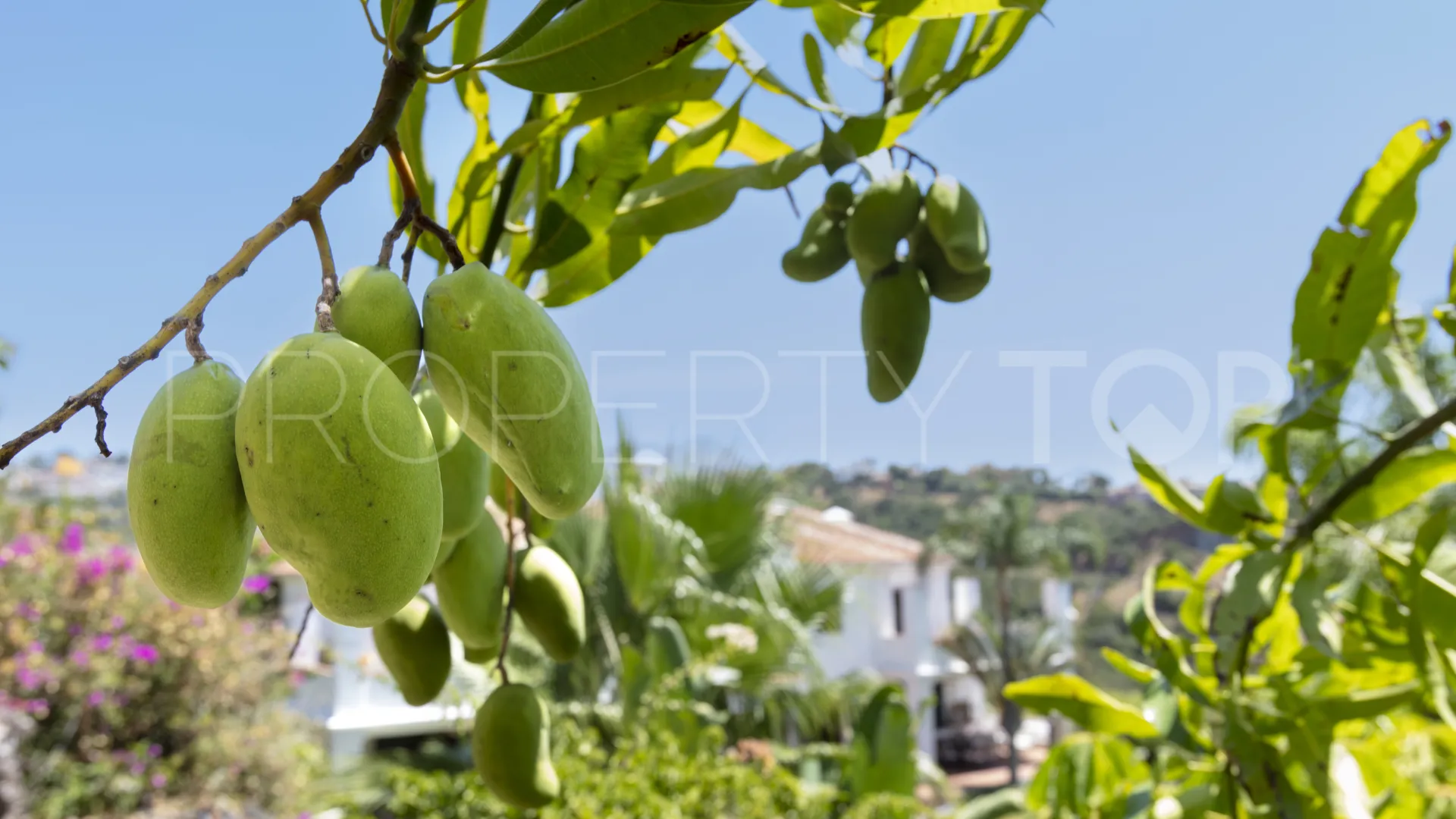 For sale villa with 5 bedrooms in Puerto del Almendro