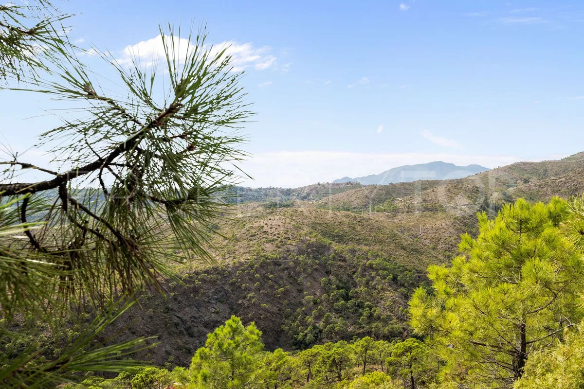 Buy 5 bedrooms villa in Benahavis