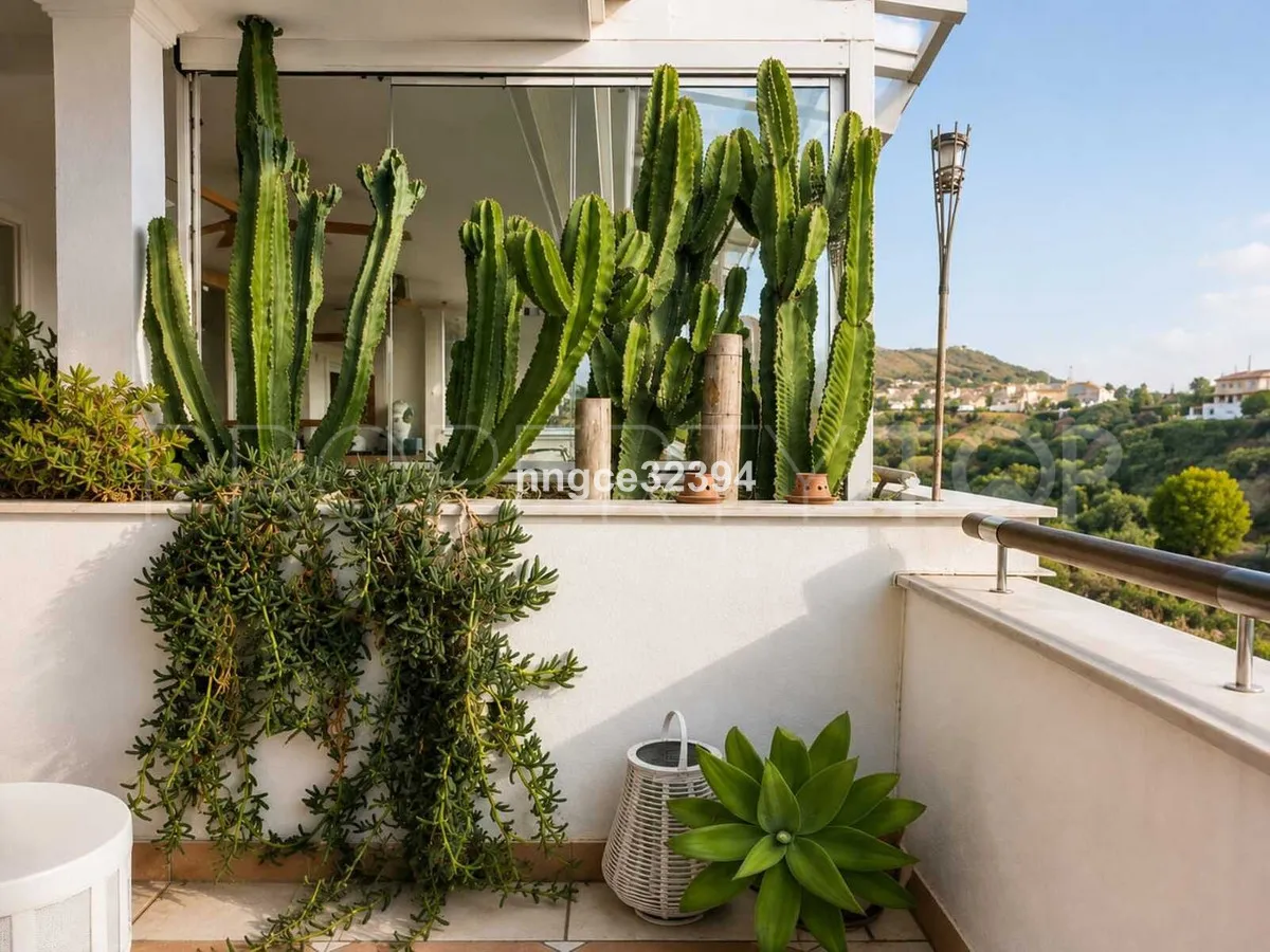 Buy apartment in Sierra Blanca